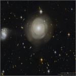 تصویر نجومی روز ناسا: پوسته های ستاره های کهکشان بیضوی پی‌جی‌سی 42871