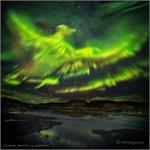«ققنوس سبزی که در آسمان ایسلند پدیدار شد»