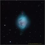 تصویر نجومی روز ناسا: ان‌جی‌سی 1360: سحابی تخم سینه‌سرخ