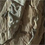 کشف شواهد تازه از وجود حیات در مریخ