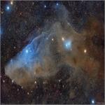 تصویر نجومی روز ناسا: آی‌سی 4592: سحابی بازتابی سر اسب آبی