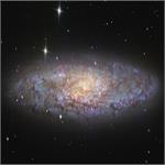 تصویر نجومی روز ناسا: کهکشان ان‌جی‌سی 253