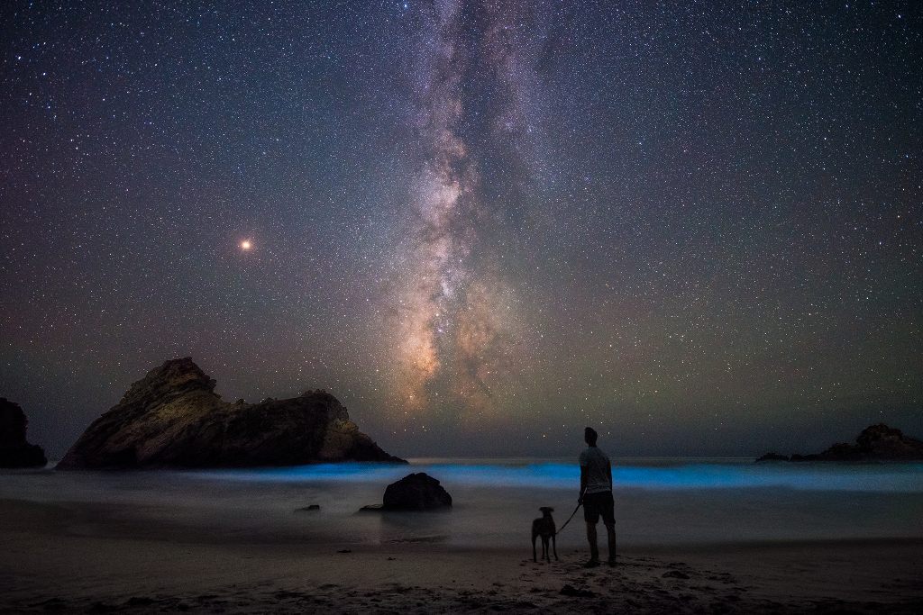 On the Beach with Mars